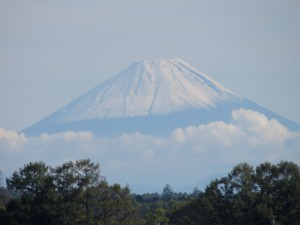 ちょっと近寄った場所からズーム