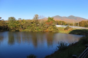 東の溜池からの八ヶ岳